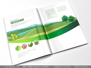 从田间到店面 专业设计公司如何赋能农产品与零售专卖店的市场突围