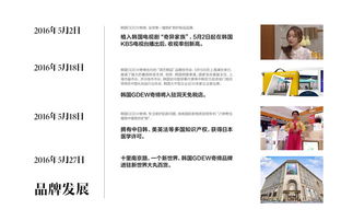 韩国GDEW化妆品品牌策划案 融合韩式美学与创新科技的整合营销之路