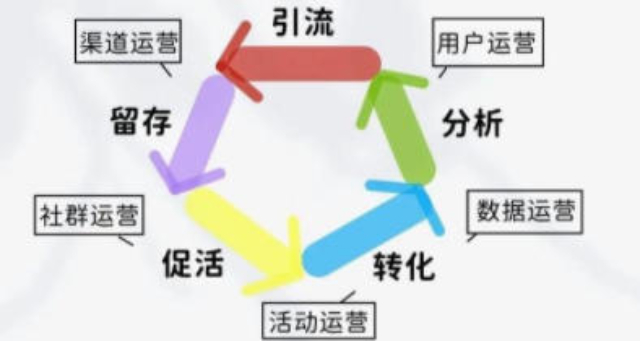 虎丘区智能化市场营销策划联系人 助力企业数字化转型的关键角色